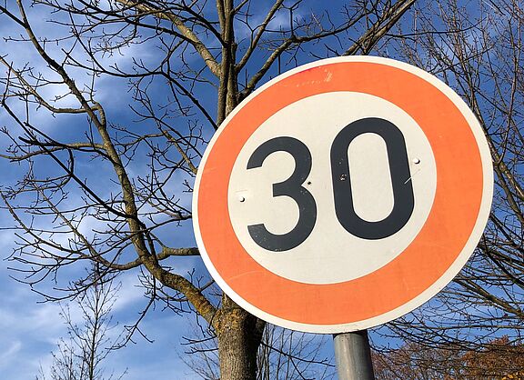 Schild Tempo 30 mit Baum im Hintergrund